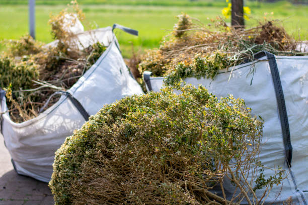 Best Yard Cleanup Services  in Ivey, GA
