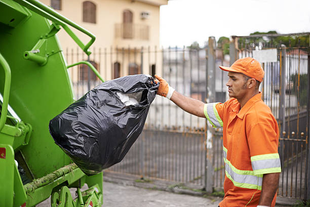 Yard Cleanup Services in Ivey, GA